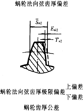 平面二次包絡環面蝸杆傳動精度蝸杆、蝸輪誤差的定義及代号